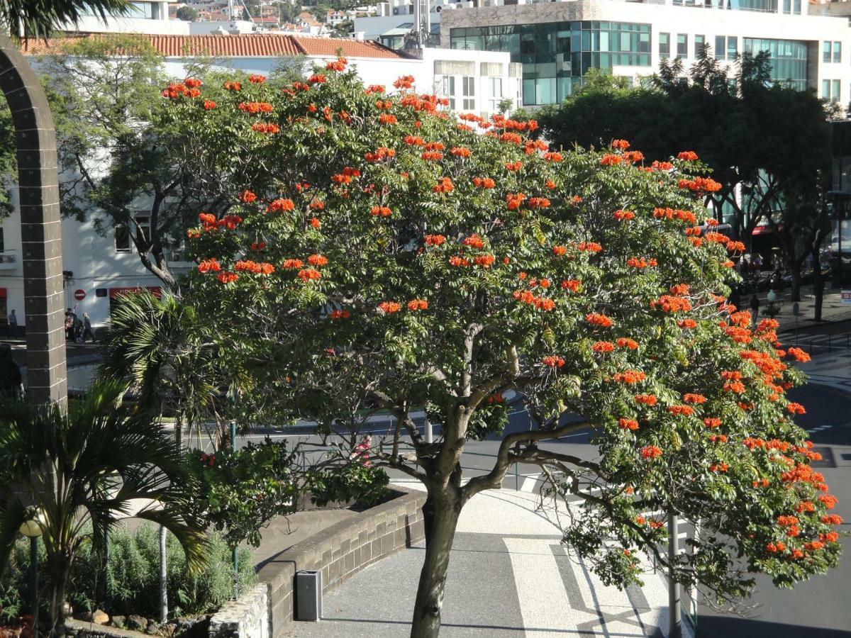 Violeta House Vila Funchal  Exterior foto